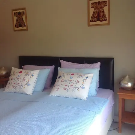 Meyveli Ev Guest house *