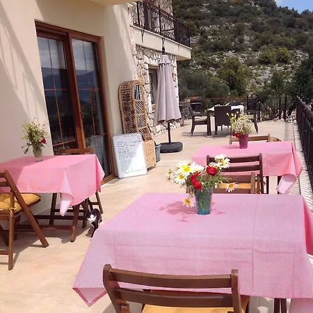 Meyveli Ev Guest house *
