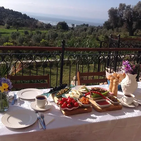 Meyveli Ev Guest house *