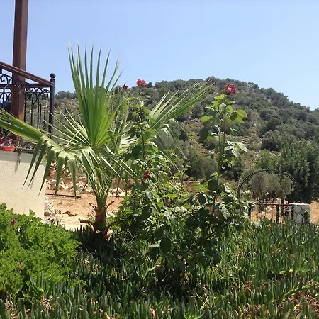 Meyveli Ev Karadere (Aegean)