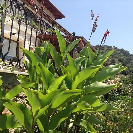 Guest house Meyveli Ev *