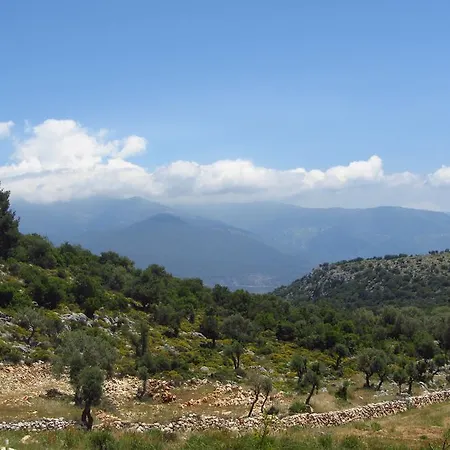 Meyveli Ev Karadere (Aegean)