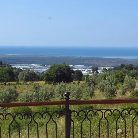 Meyveli Ev *